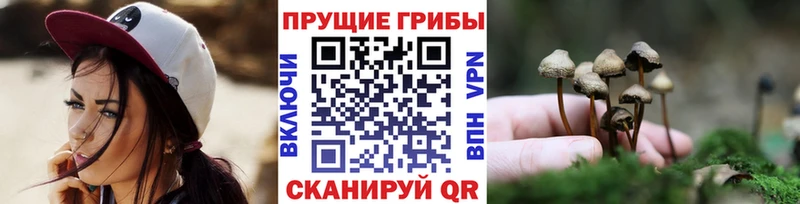 цены   сайты даркнета состав  Галлюциногенные грибы GOLDEN TEACHER  Дзержинск 