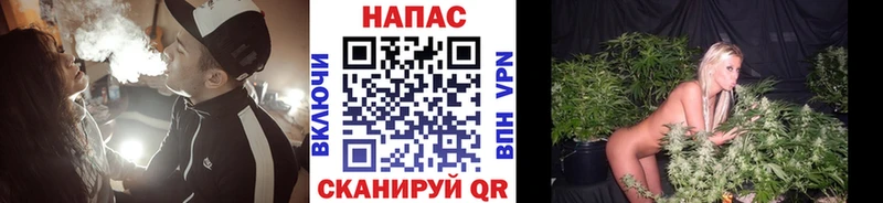 купить наркотик  Дзержинск  Бошки марихуана план 